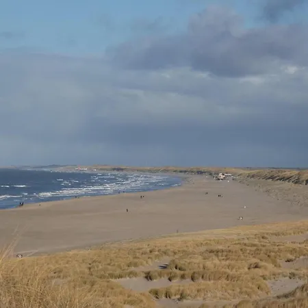 Detached With Garden