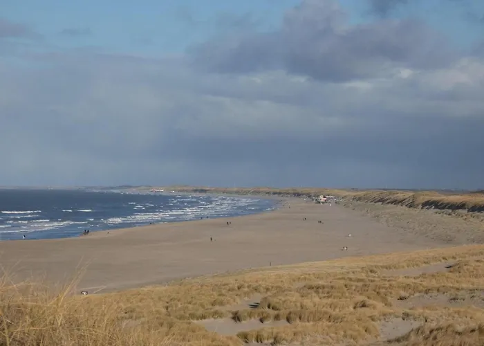 Detached With Garden