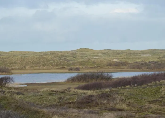 Detached With Garden Feriehus *